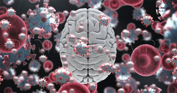 Связь между COVID-19 и болезнью Альцгеймера